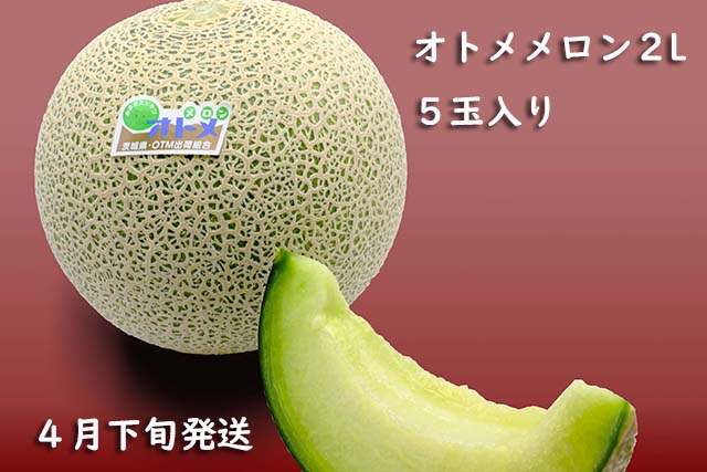 �I�g��������2�k�@5�ʓ���@4�����{[melon2l-2]